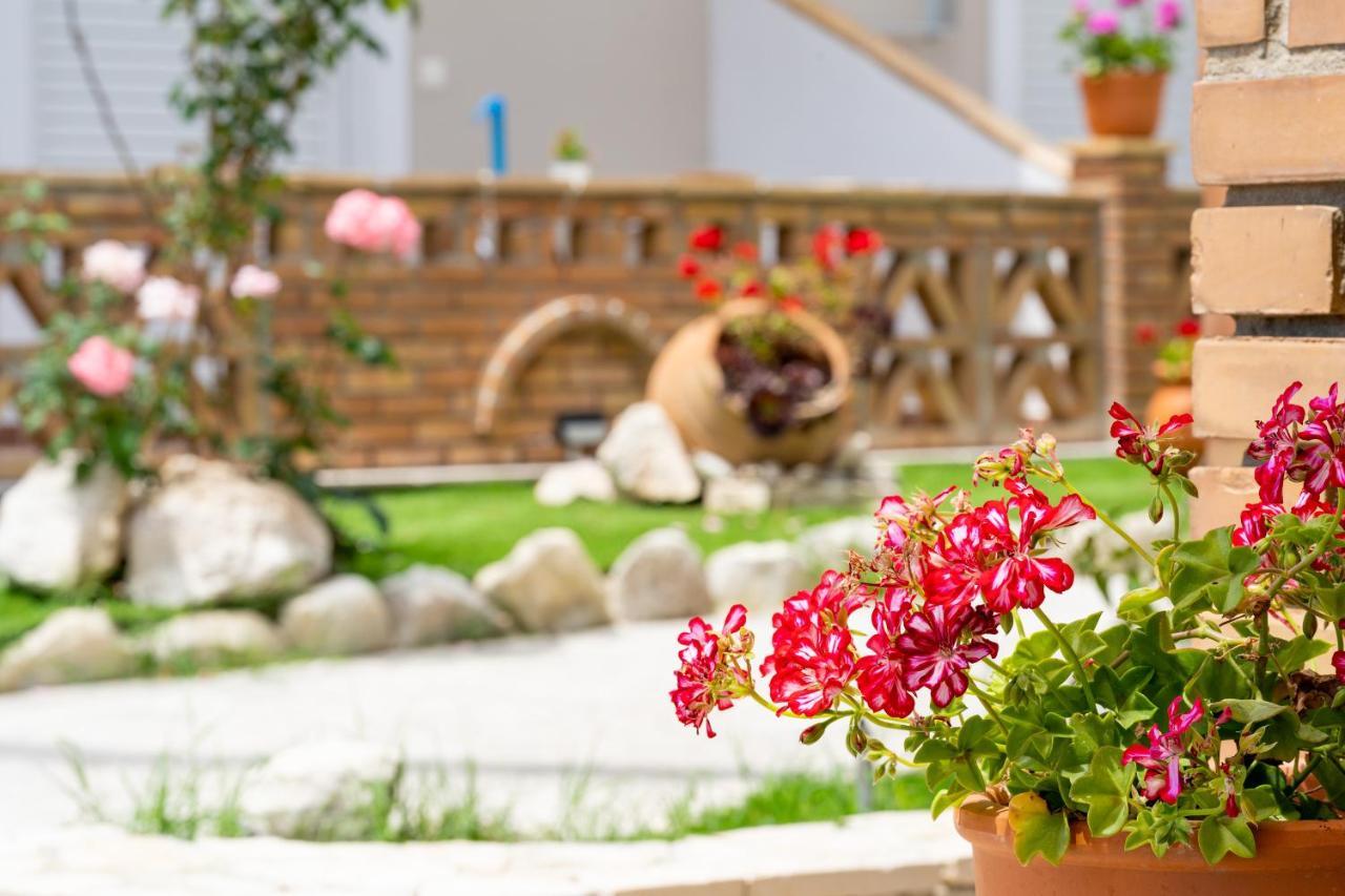 Asteri Studios Kalamaki (Zakynthos) Exterior foto