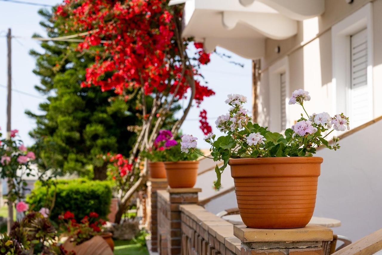 Asteri Studios Kalamaki (Zakynthos) Exterior foto