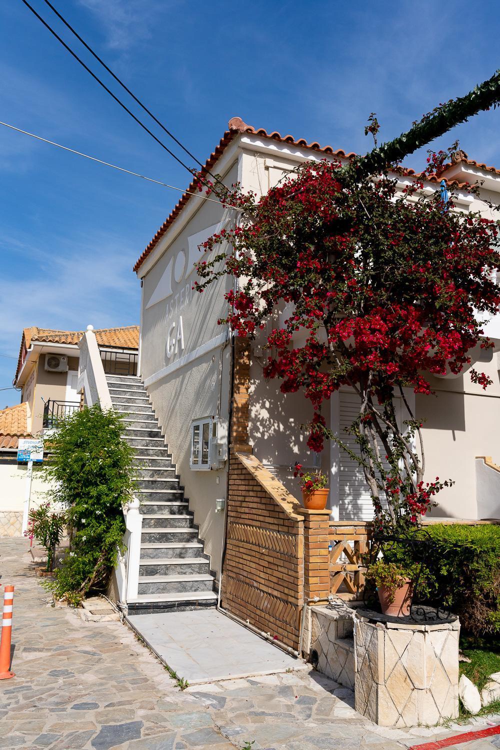 Asteri Studios Kalamaki (Zakynthos) Exterior foto