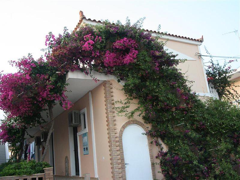 Asteri Studios Kalamaki (Zakynthos) Exterior foto